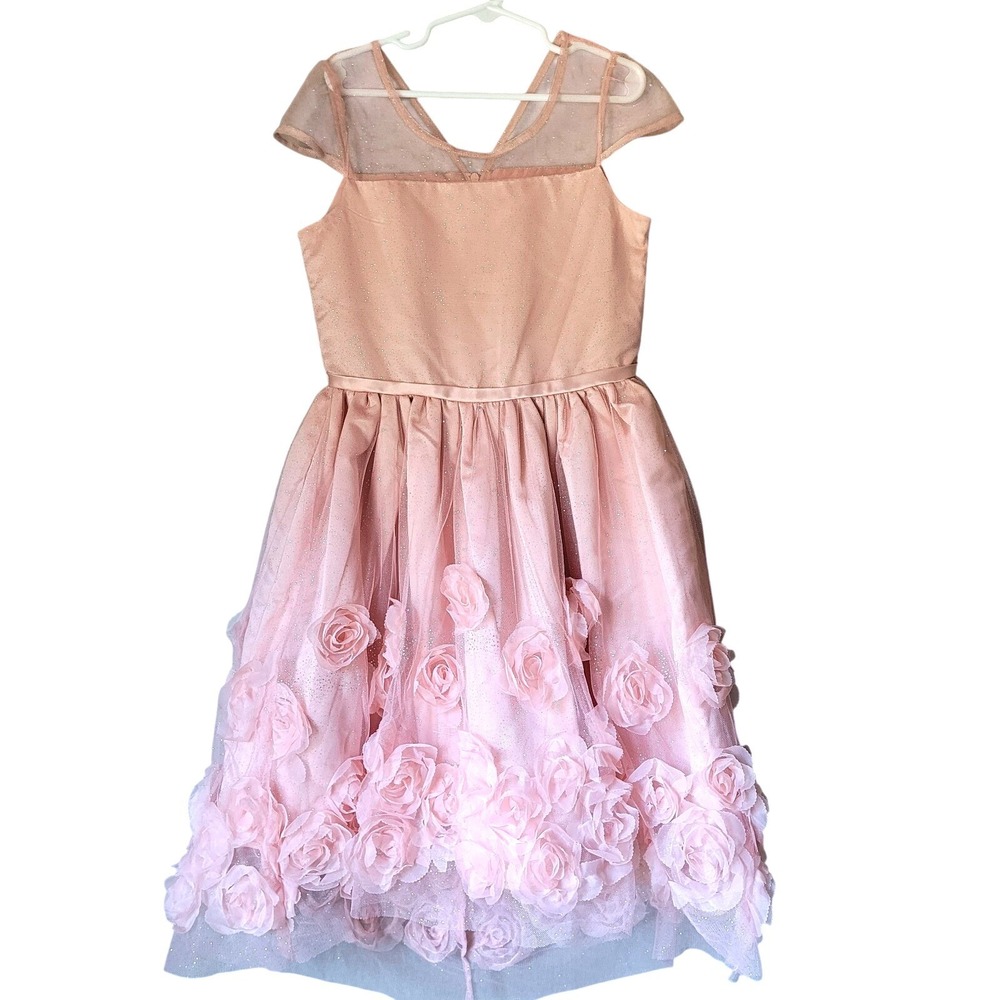 Nannette Kids Girls Size 10 Dress Blush Pink 3D Rosette Tulle Formal Wedding